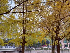 -成都市活水公园