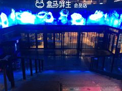 -盒马鲜生(杭州运河上街店)