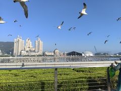 -星海广场