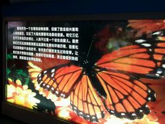 -上海昆虫博物馆