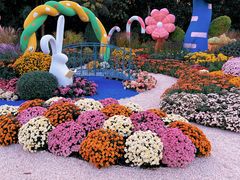 -上海共青森林公园