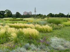 -汉长安城未央宫国家考古遗址公园