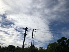 -贡湖湾湿地公园