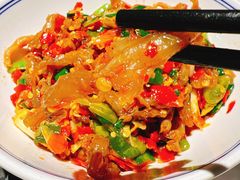 鸭掌筋-壹盏灯(蚂蚁工房店)