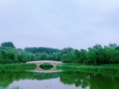 -东郊湿地公园
