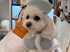 -comecome来吧宠物(奥克斯中心店)