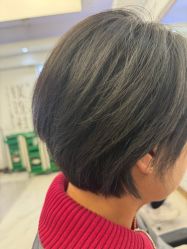 -镁连社·美联社