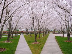 -龙美术馆西岸馆-停车场