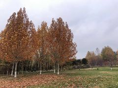-太婆天府山珍酒楼(亚运村店)