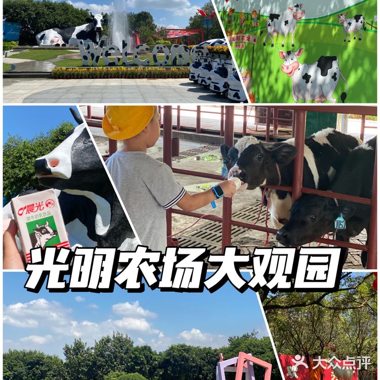 🐮国庆假期亲子游好去处｜光明农场大观园