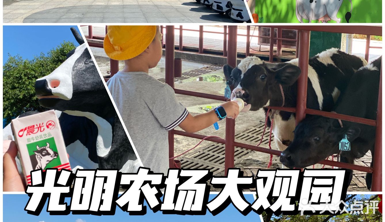 🐮国庆假期亲子游好去处｜光明农场大观园