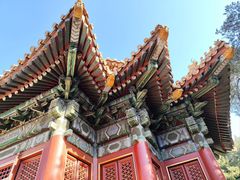 -故宫博物院(故宫)