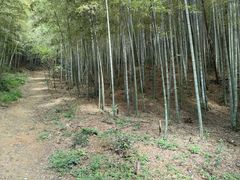 -杭州半山国家森林公园