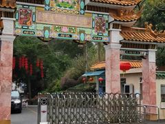 -广州市流溪河国家森林公园