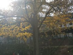 -无锡惠山寺