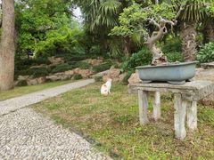 -盆景园(扬州大运河文化旅游度假区)
