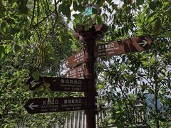 -大屏嶂森林公园