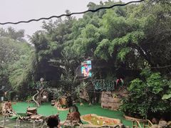 -广州长隆野生动物世界