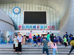 -烟台海昌鲸鲨海洋公园