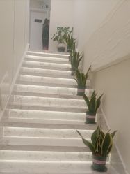 点击看大图 -海涛医疗美容·面部抗衰·注射美鼻