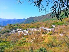 -塔川景区