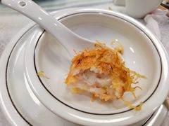 -丁老爷子苏香圆