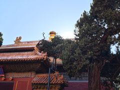 -故宫博物院(故宫)