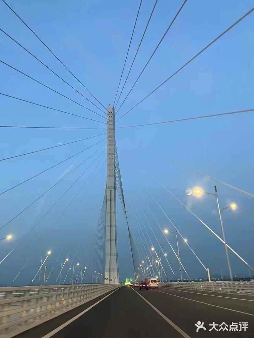 悠闲步伐，林中漫游