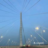 悠闲步伐，林中漫游