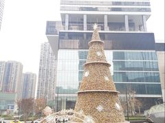 -奈雪的茶(重庆万象城北区店)