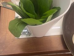 -喃喃椰·糟粕醋·椰子鸡火锅(七堡花园店)
