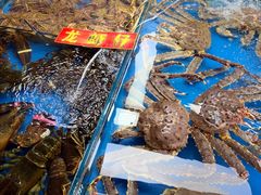-桃源市场(解放路店)