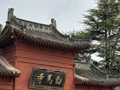 -洛阳白马寺