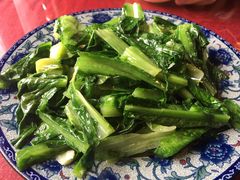 油麦菜-生态苑农庄(十里画廊遇龙河店)