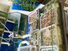 -公寓家常菜馆(海军博物馆店)