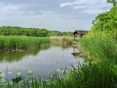 -同里国家湿地公园