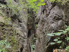 -玉石林风景区