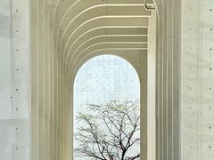 -中国宣纸文化园