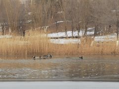 -永定河休闲森林公园