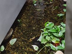 -龙湖杭州滨江天街