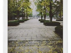 -百林公园-两江幸福广场