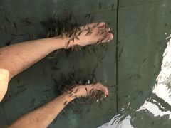 -天芳悦潭度假村温泉