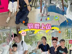 -盈香心动乐园