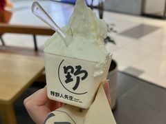 -野人先生Gelato(上海长宁龙之梦店)