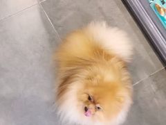 -萌兽医馆·眼科·异宠专科(三里屯店)