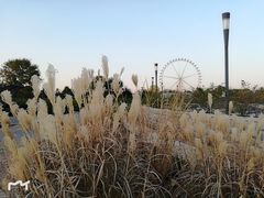 -石家庄市植物园