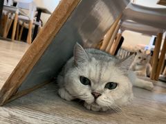 -小时光咖啡馆(北锣鼓巷店)