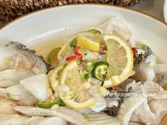 -金山记靓鸡专门店·中山菜