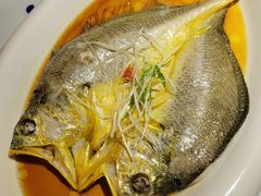 鸡汁蒸黄鱼-江南赋(内蒙古大厦店)