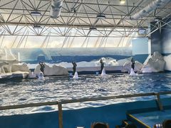 -秦皇岛乐岛海洋王国